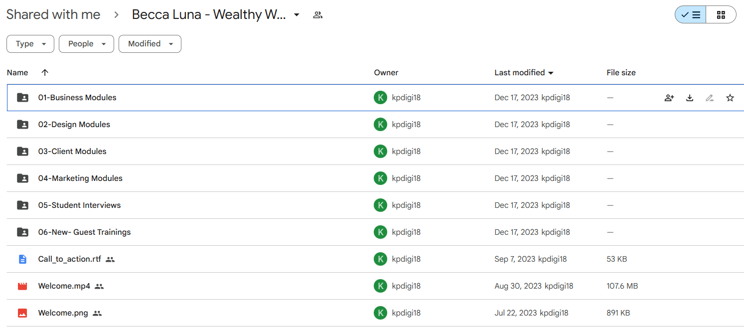 Download Becca Luna Wealthy Web Designer Course 