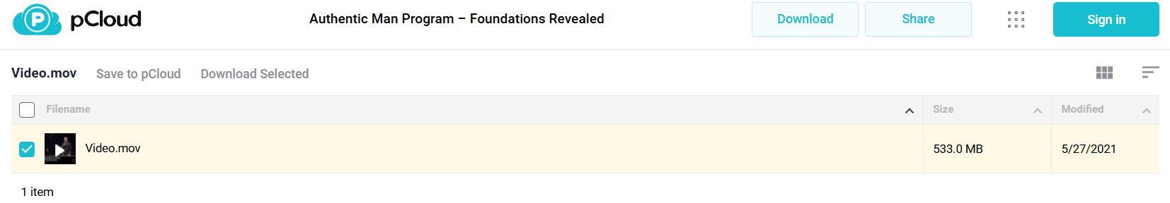 Download Authentic Man Program Foundations Revealed 