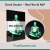 David Snyder Real World NLP