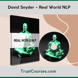 David Snyder Real World NLP