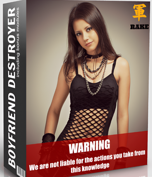 What is Boyfriend Destroyer System