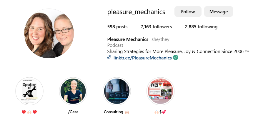 What is Pleasure Mechanics