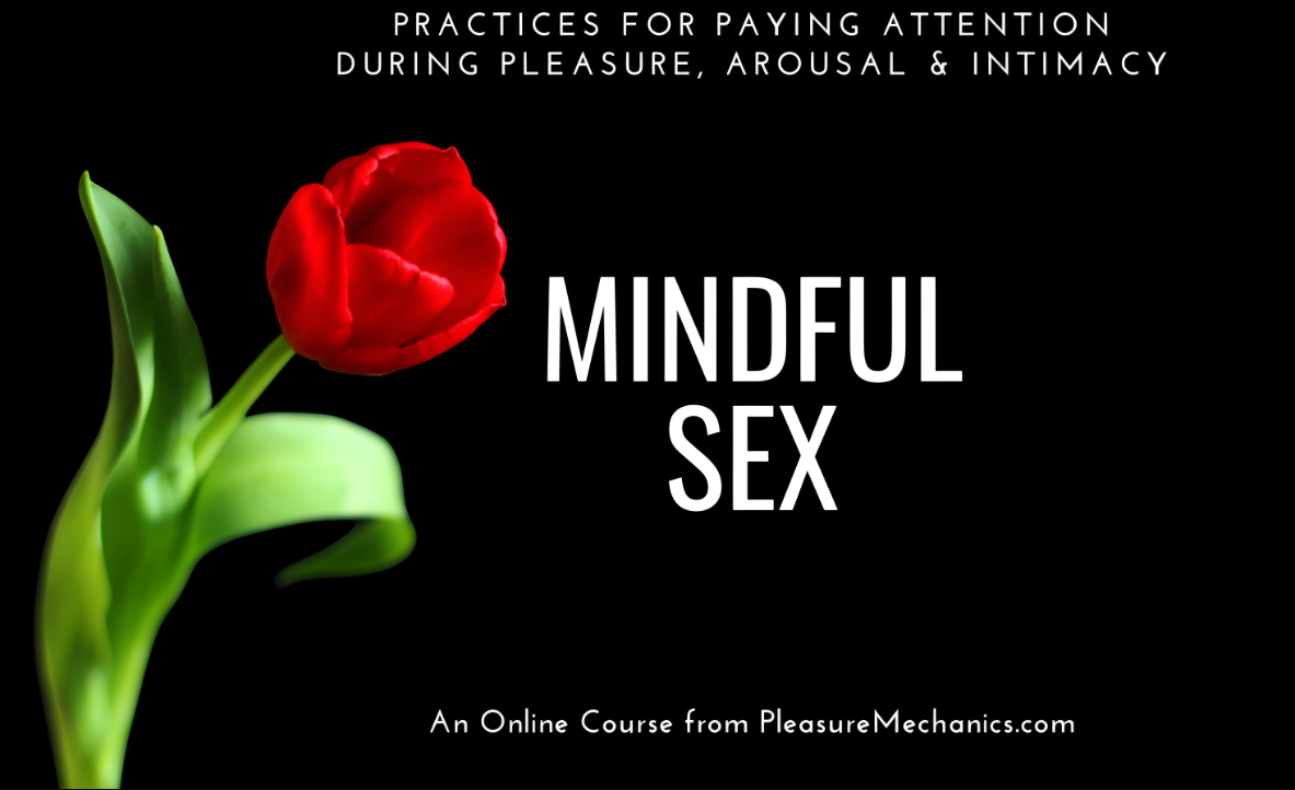 What is Pleasure Mechanics Mindful Sex