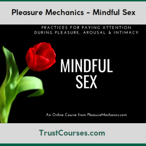 Pleasure Mechanics Mindful Sex